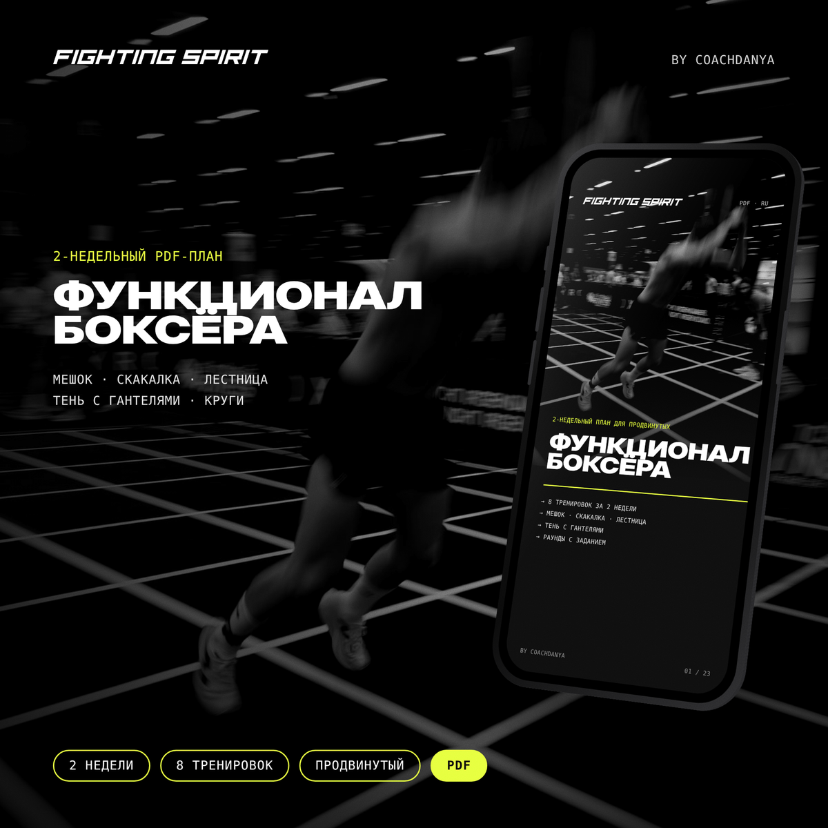 ФУНКЦИОНАЛ БОКСЁРА — 2-недельный план для продвинутых