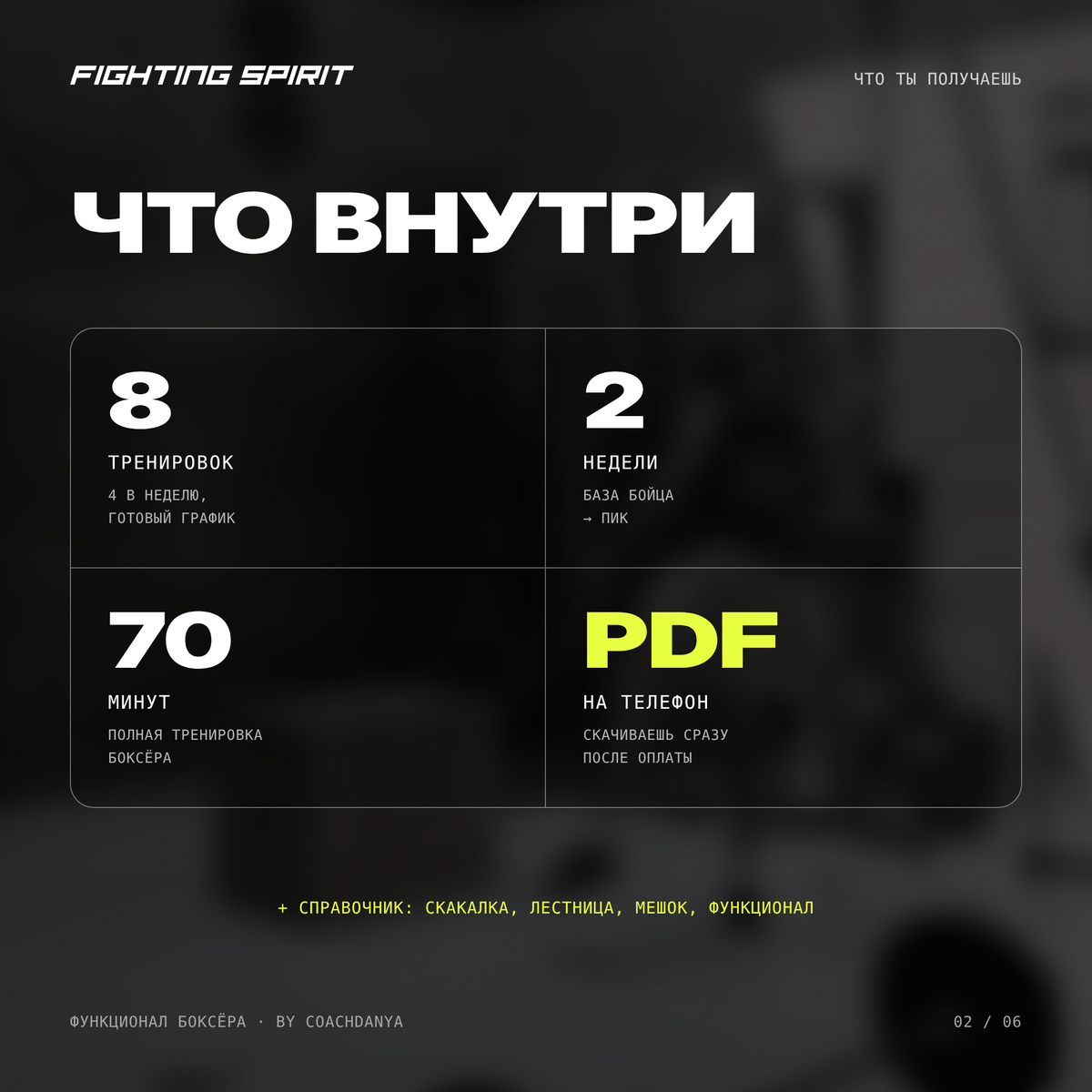 ФУНКЦИОНАЛ БОКСЁРА — 2-недельный план для продвинутых