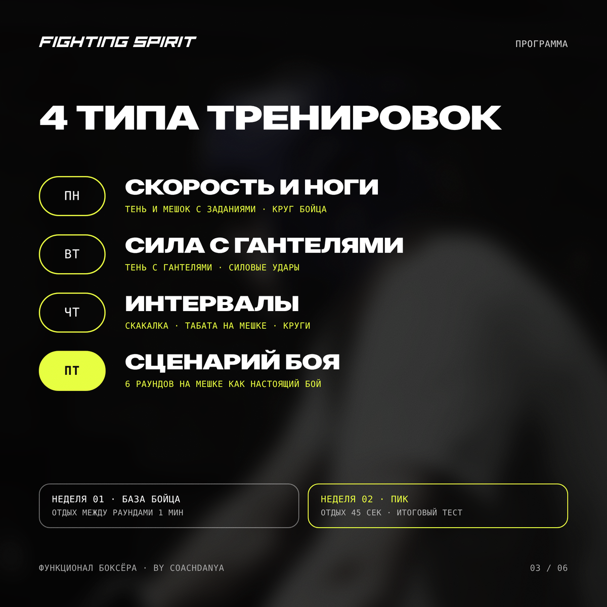 ФУНКЦИОНАЛ БОКСЁРА — 2-недельный план для продвинутых